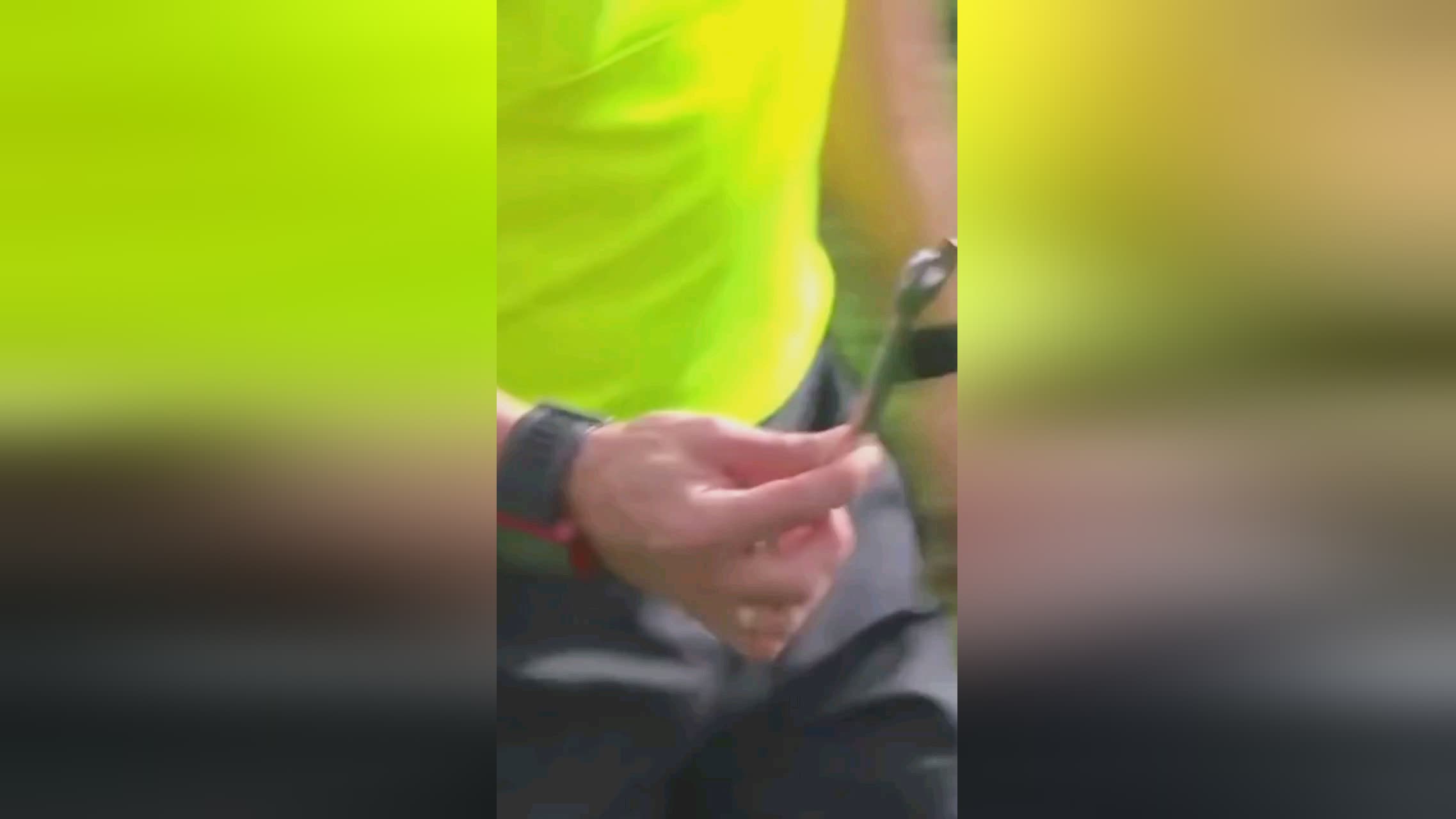 色极其重要